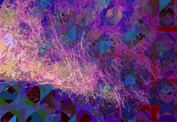 Oświecenie (cyfrowy)